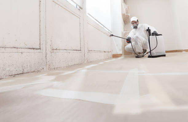24/7 Emergency Attic Mold Remediation experts in Cambridge, IL