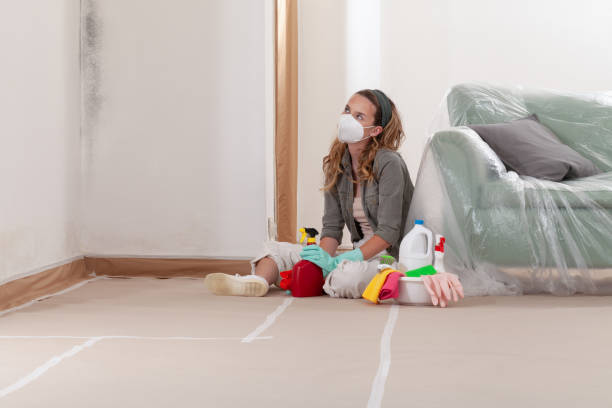 Reliable Attic Mold Remediation contractor in Cambridge, IL by Mold Remediation HQ